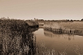 10 11 13_9866_edited-1